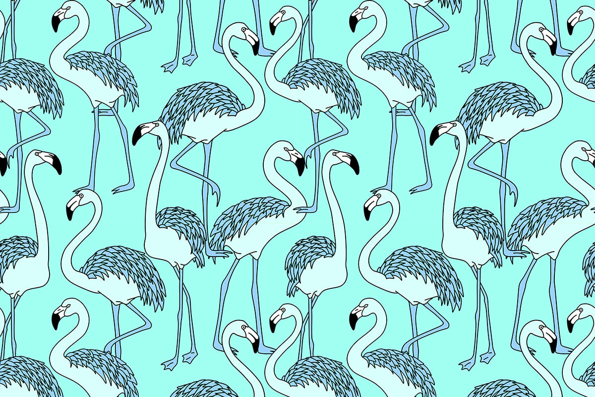 Masking, Effects & Patterns in Adobe Illustrator