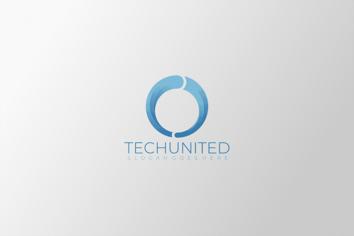 Basic Principles Professional Logo Designers Need To Consider